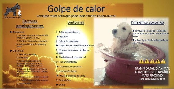 Golpe de calor: atenção! - Ver mais